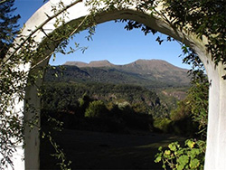 Away With the Fairies Backpackers