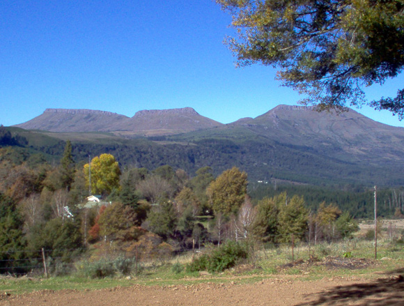 Forester's Guest House