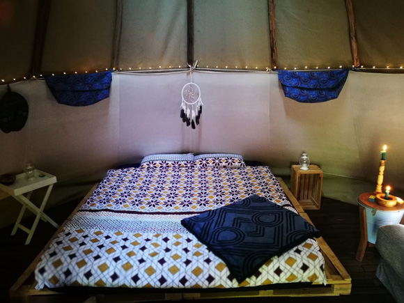 A Hog's Life Accommodation