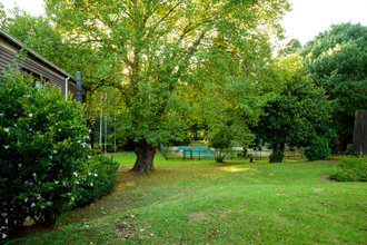 Kings Lodge