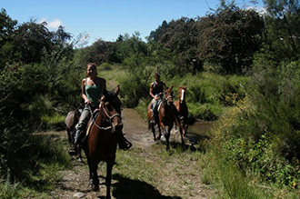 Amathole Horse Trails