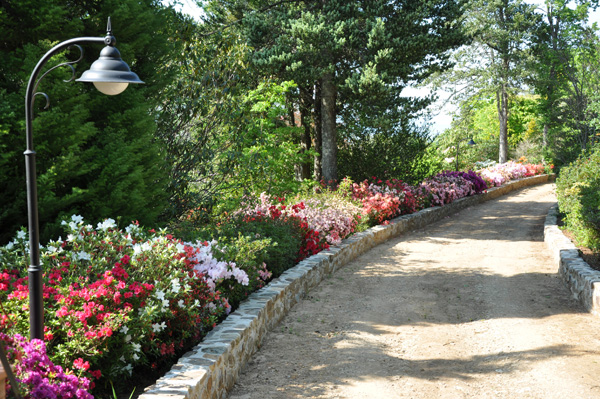 Applegarth Gardens and Nursery