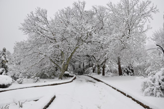 Applegarth Gardens and Nursery