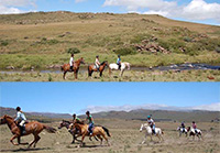 Lowestoffe - Guided Horse Rides
