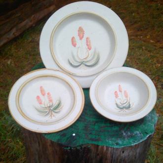 Eastern Cape aloes on dinner ware