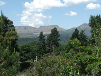 View of the three Hogs from Nutwoods Drive