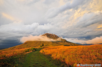 Photograph by Ken Harvey