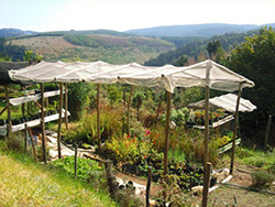 Middle Earth Organic Nursery