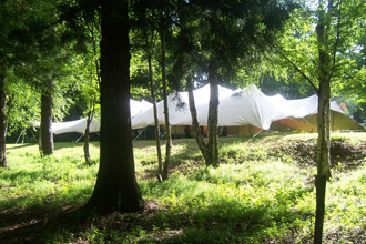 Kings Lodge
